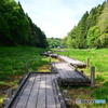 湿原の筈だが、、
