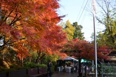 トロッコ嵐山駅