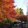 トロッコ嵐山駅
