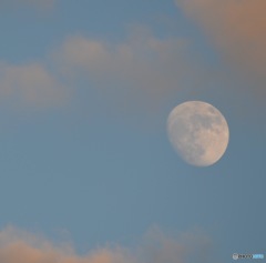 まだ明るいのにハッキリ