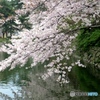 小倉城の濠③