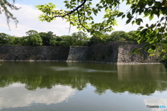 大阪城のお濠①