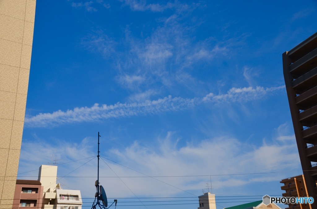 久しぶりの青空