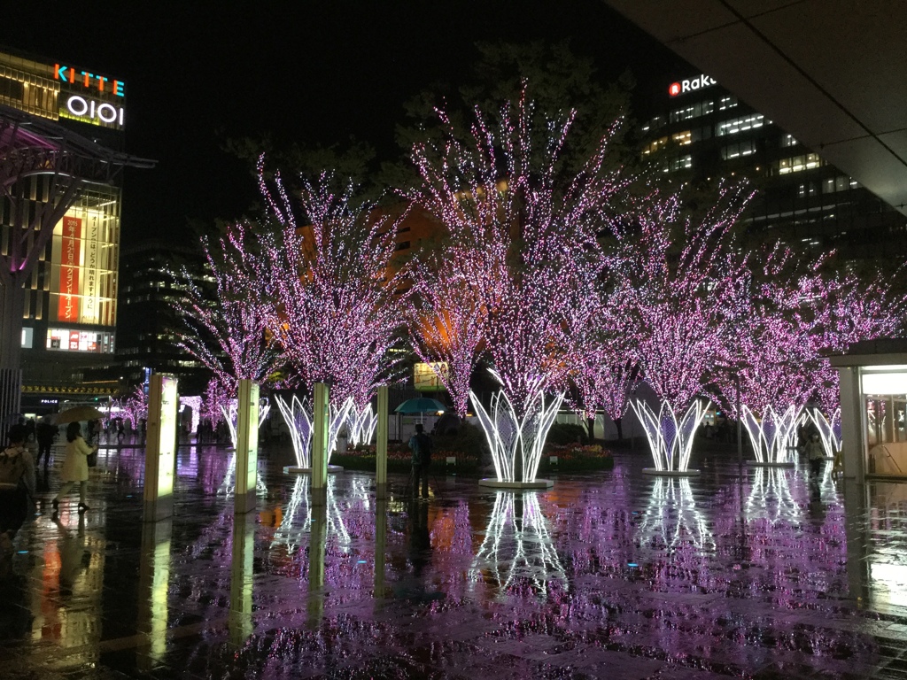 博多駅前の春色イルミネーション