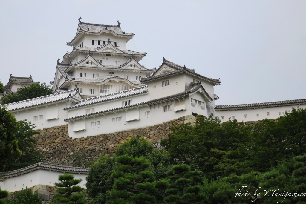 姫路城 正面やや左側より