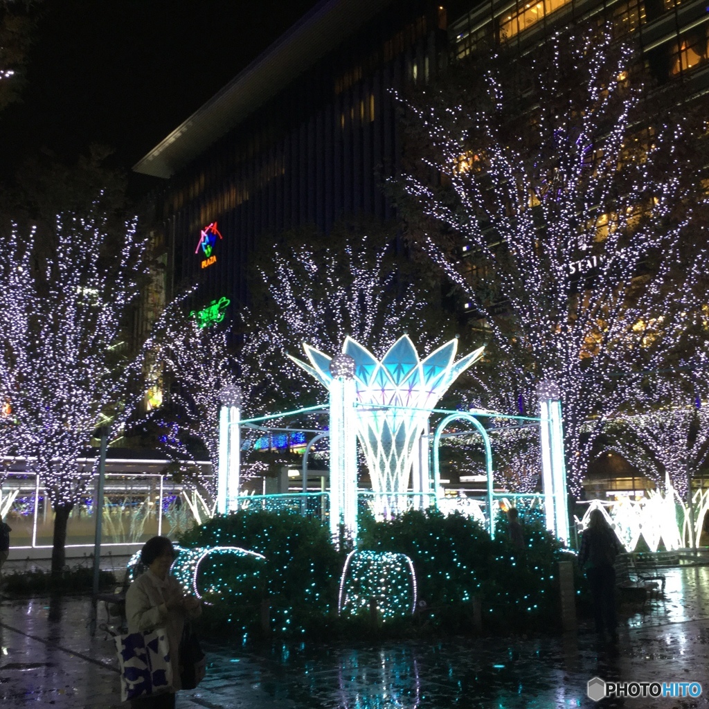 博多駅 クリスマスイルミネーション⑥