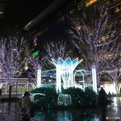 博多駅 クリスマスイルミネーション⑥