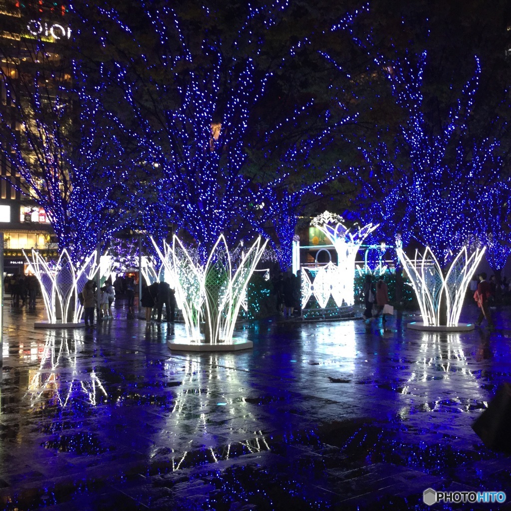 博多駅 クリスマスイルミネーション⑧