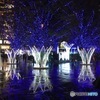 博多駅 クリスマスイルミネーション⑧