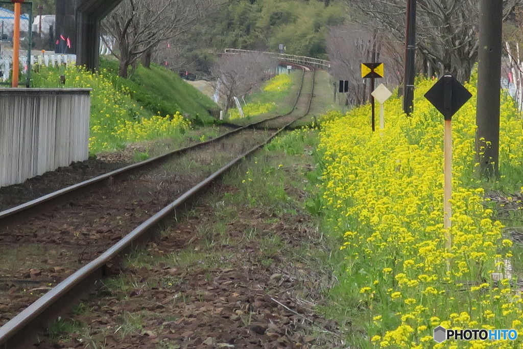 千葉 いすみ鉄道①