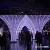 博多駅 クリスマスイルミネーション②