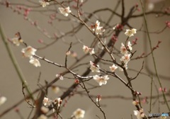 ぽつぽつ