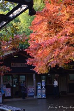 トロッコ嵐山駅