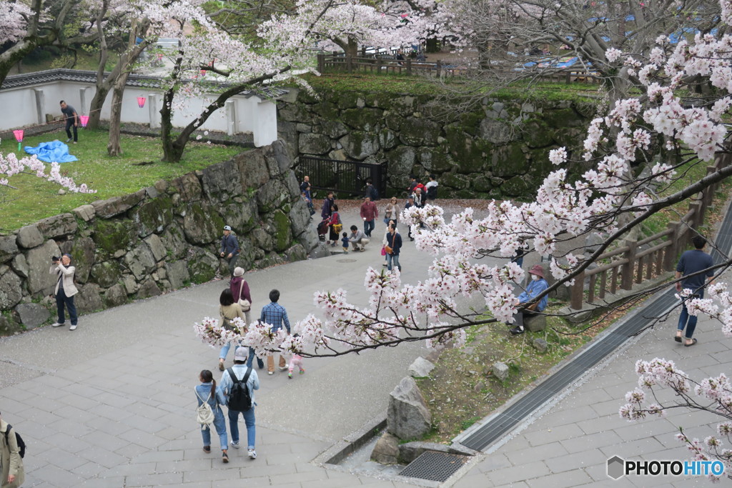 天守閣へ②