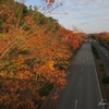 歩道橋からの景色