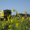 いすみ鉄道ムーミン列車