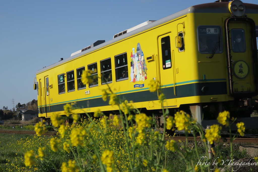 いすみ鉄道ムーミン列車