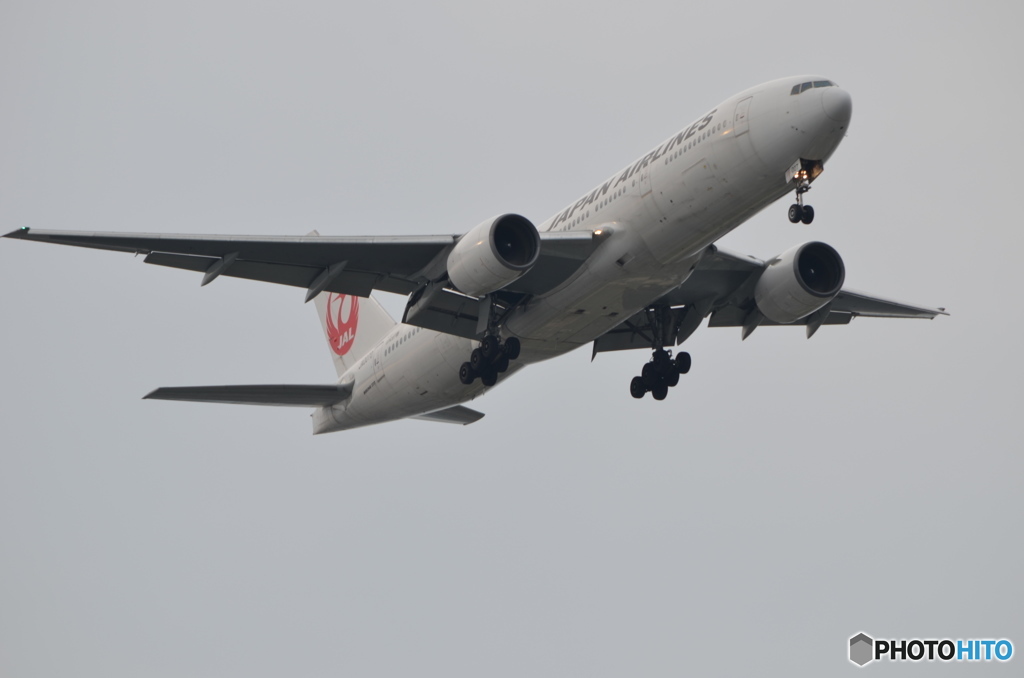 初めての飛行機撮影
