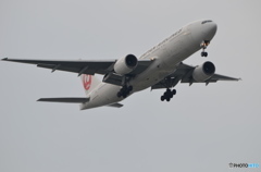 初めての飛行機撮影