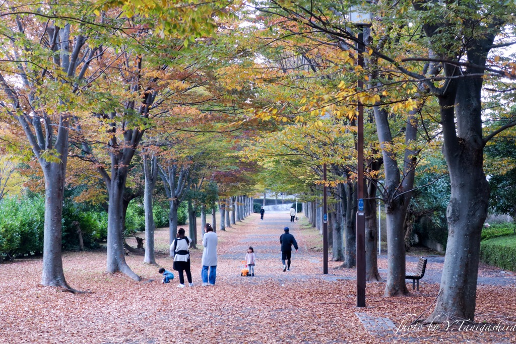 みんなの散歩道