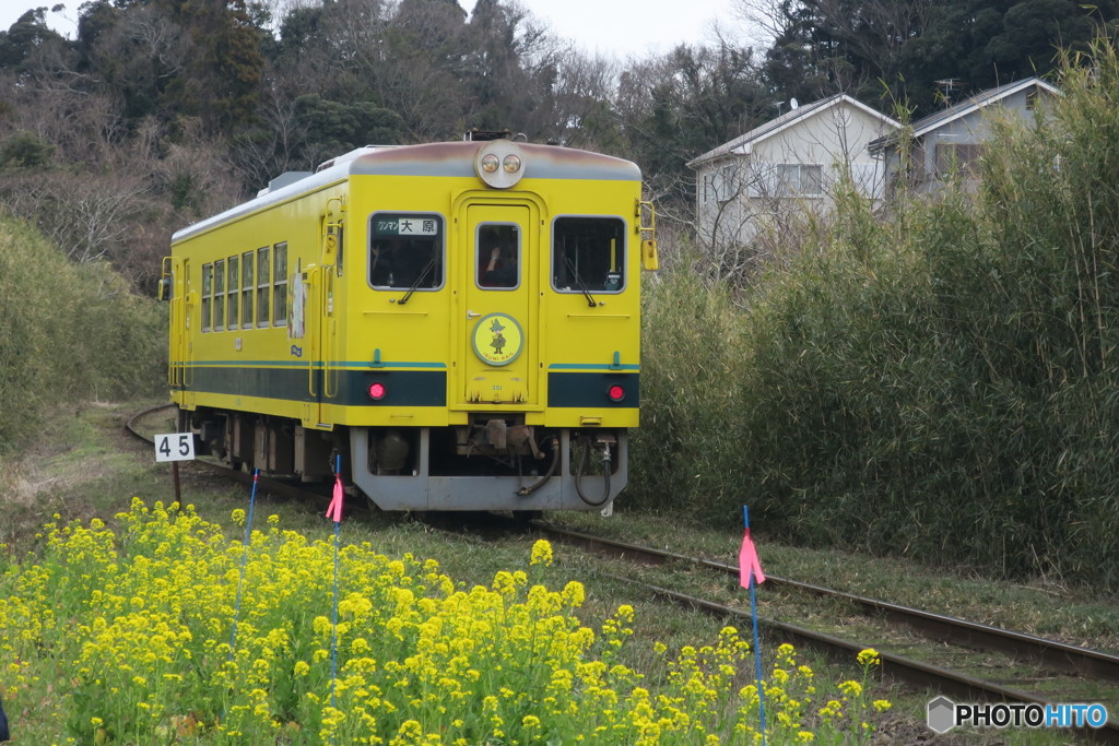 いすみ鉄道④