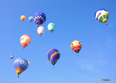 佐賀ﾊﾞﾙｰﾝﾌｪｽﾀ