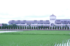 the 学校