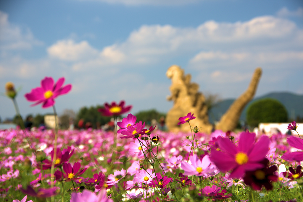 ゴジラとコスモス