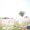 空と花