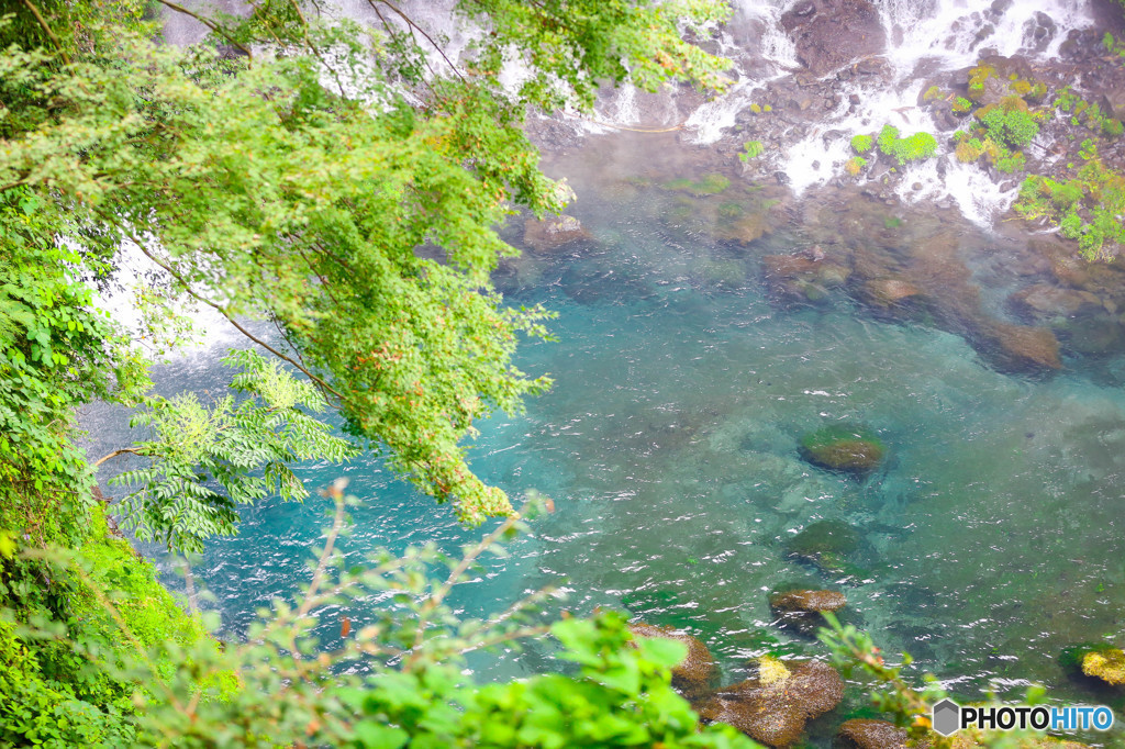 緑と水面
