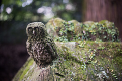 神社の守り鳥