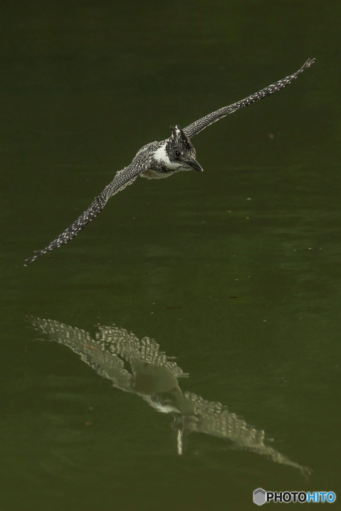 水鏡