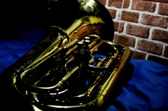 My Tuba