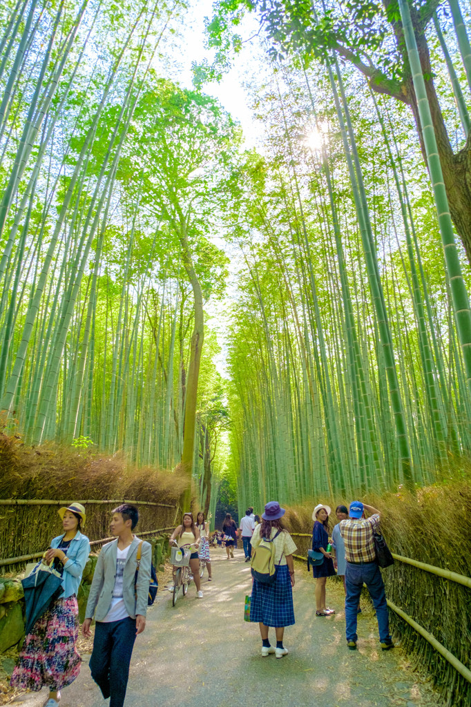 嵐山竹林