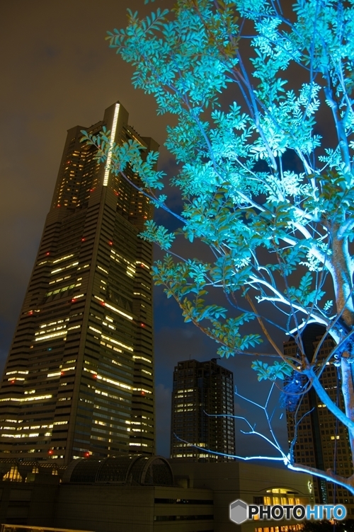 Blue Light Yokohama