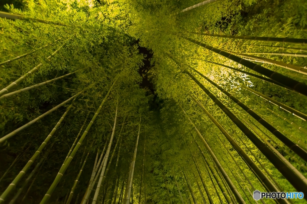 高台寺