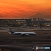 夕焼けの羽田空港