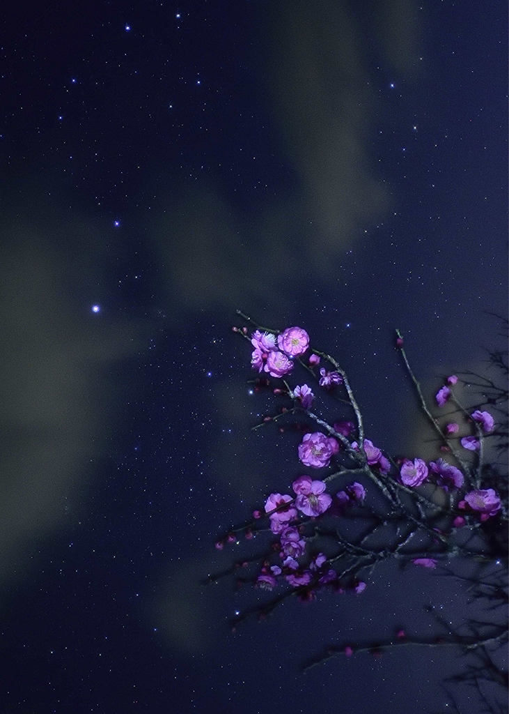 星と共に