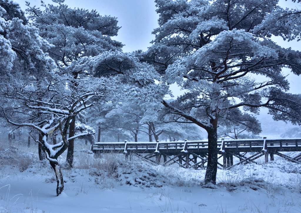 雪橋