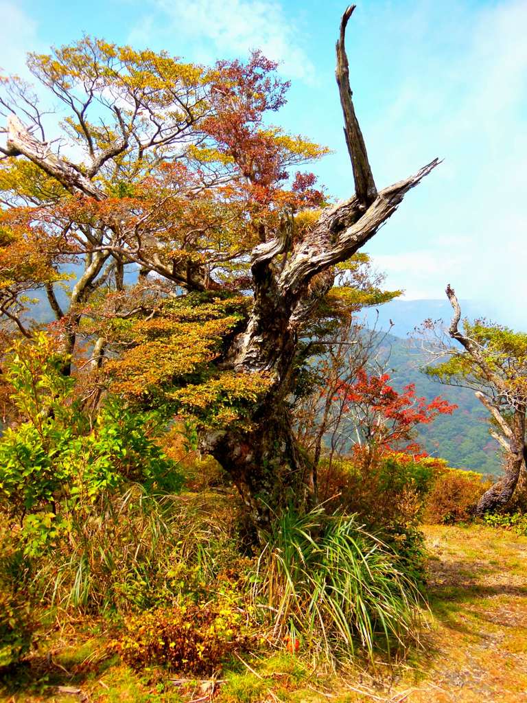 霧島山系