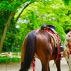 お馬さん