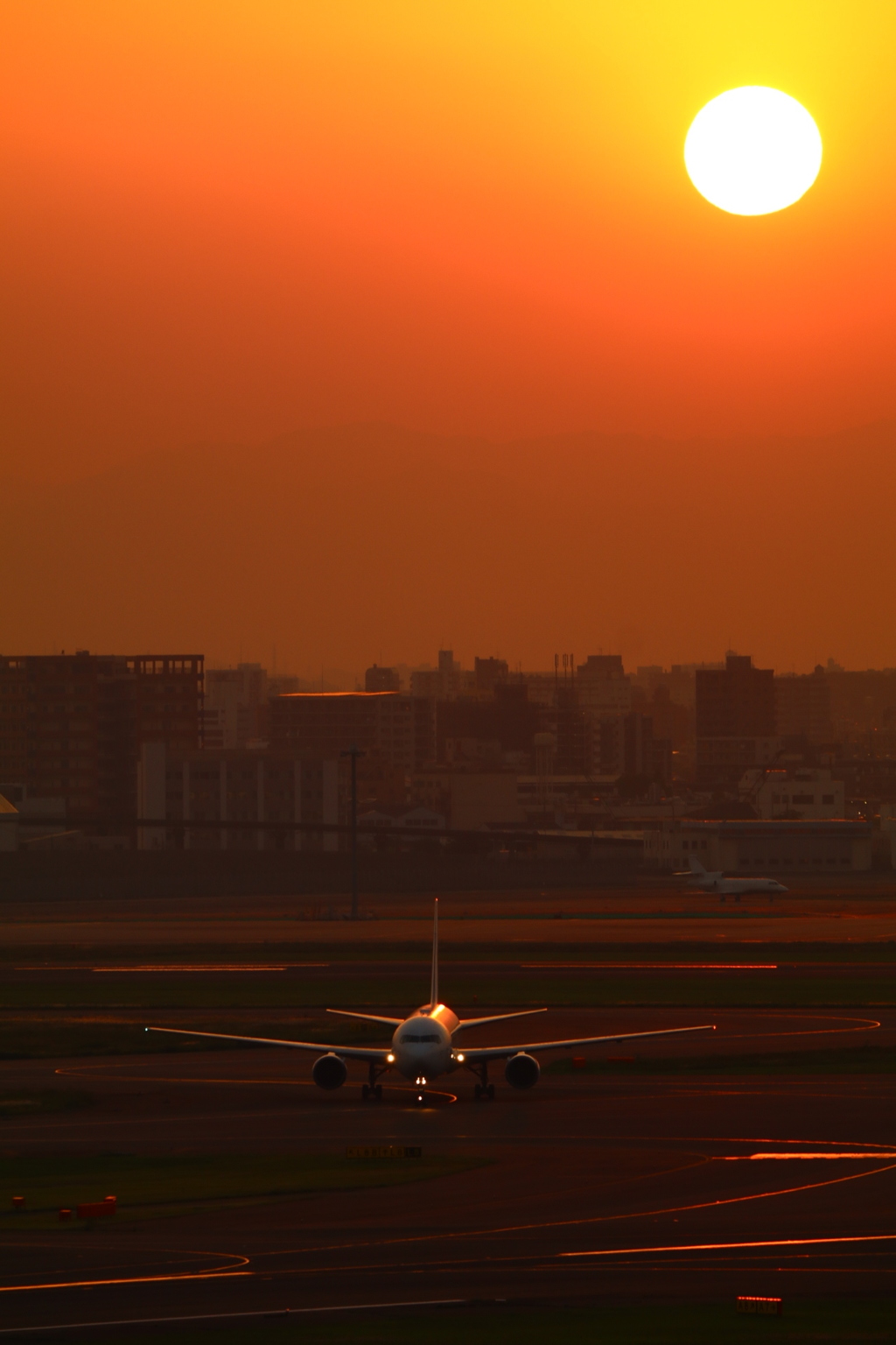夕飛