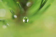 雨の日