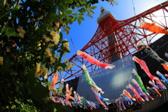 花と鯉とタワー