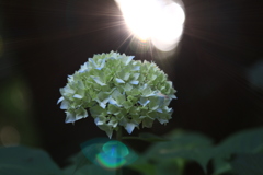 輝き