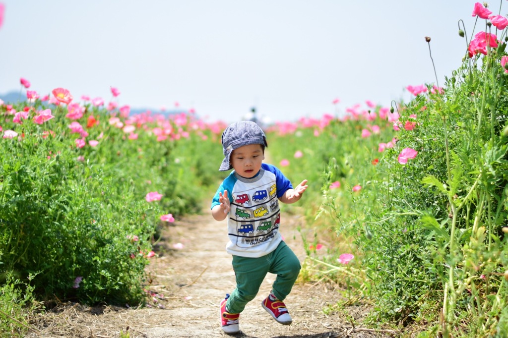 ダンス！