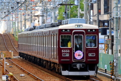 5000系