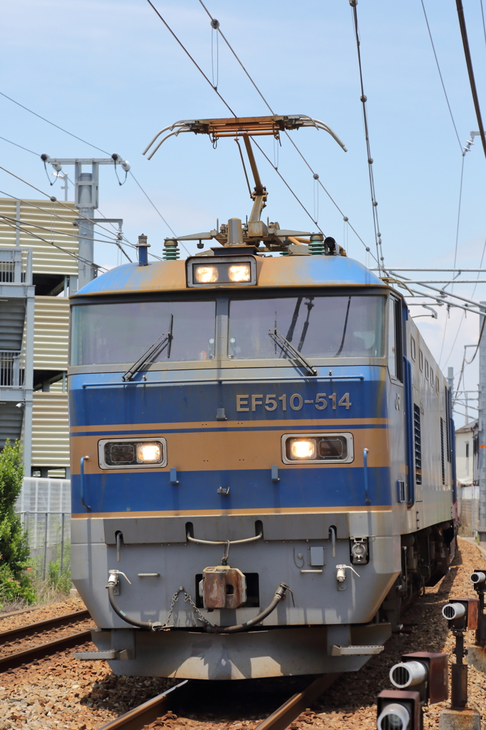 みんなにつられて