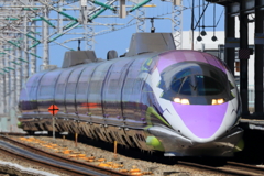 残暑の風たち