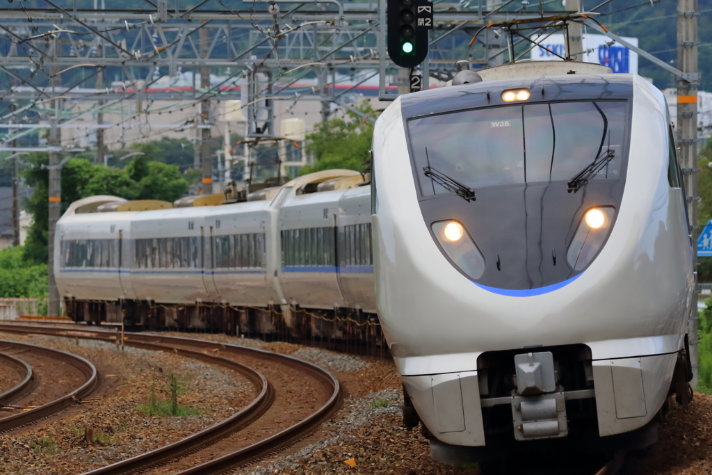 サントリーカーブ
